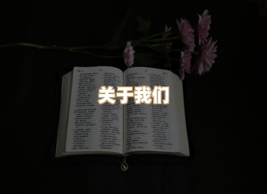 关于选弦电子书